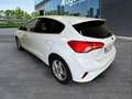 Ford Focus 1.5Ecoblue Trend+ 120 Blanco - thumbnail 6