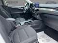 Ford Kuga PHEV*TITAN.*Navi*GJR*PDC*Keyl.Go*KlimaA* Blanc - thumbnail 11