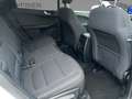 Ford Kuga PHEV*TITAN.*Navi*GJR*PDC*Keyl.Go*KlimaA* Blanc - thumbnail 10