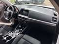 Mazda CX-5 2.2 Evolve 2wd 150cv 6at my15 Blanc - thumbnail 12