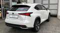 Lexus NX 300h NX300h E-FOUR LUXURY LINE *HuD*Kamerasystem 360°*G White - thumbnail 4