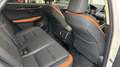 Lexus NX 300h NX300h E-FOUR LUXURY LINE *HuD*Kamerasystem 360°*G White - thumbnail 7