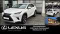 Lexus NX 300h NX300h E-FOUR LUXURY LINE *HuD*Kamerasystem 360°*G White - thumbnail 1