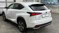 Lexus NX 300h NX300h E-FOUR LUXURY LINE *HuD*Kamerasystem 360°*G Weiß - thumbnail 2