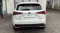Lexus NX 300h NX300h E-FOUR LUXURY LINE *HuD*Kamerasystem 360°*G White - thumbnail 3
