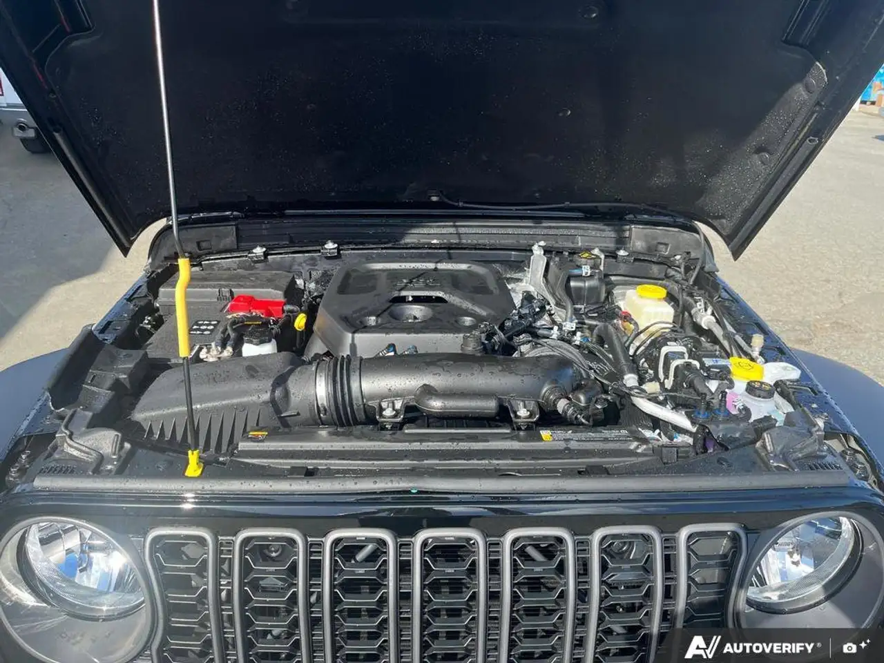 Jeep Wrangler снимка Jeep Wrangler