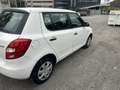 Skoda Fabia 1.2 Active (fabia) 60cv FL - thumbnail 4