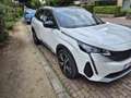 Peugeot 3008 1.6 Hybrid4 300 PHEV GT Pack Rechargeable Blanc - thumbnail 3