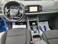 Skoda Karoq Karoq 2.0 tdi evo Executive 4x4 150cv dsg EURO6DTE Bleu - thumbnail 12