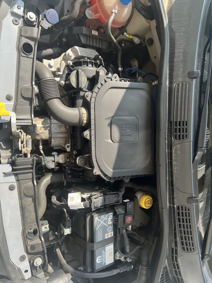 Fiat Panda 1.0 firefly hybrid Sport s&s 70cv - 1