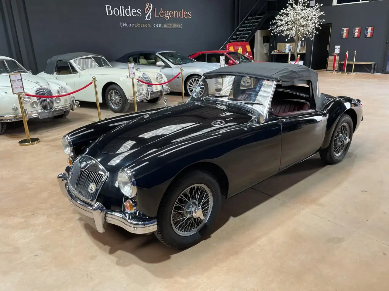 MG MGA