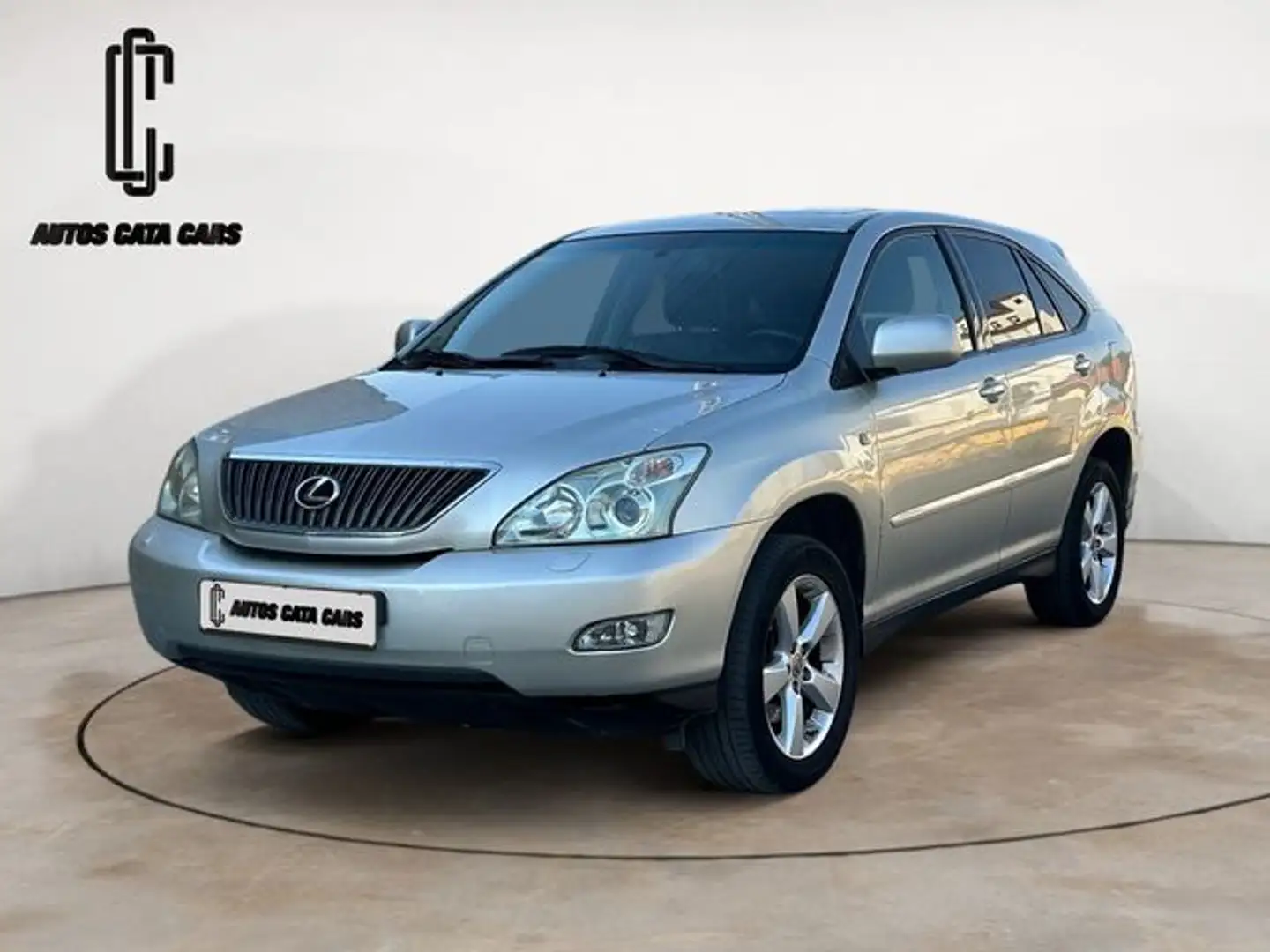 Lexus RX 300 Luxury Aut. Gris - 2