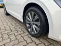Volkswagen Polo 1.0 TSI Highline virtual cockpit, xenon, cruise, n Weiß - thumbnail 9