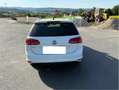 Volkswagen Golf Variant Allstar BMT Weiß - thumbnail 6