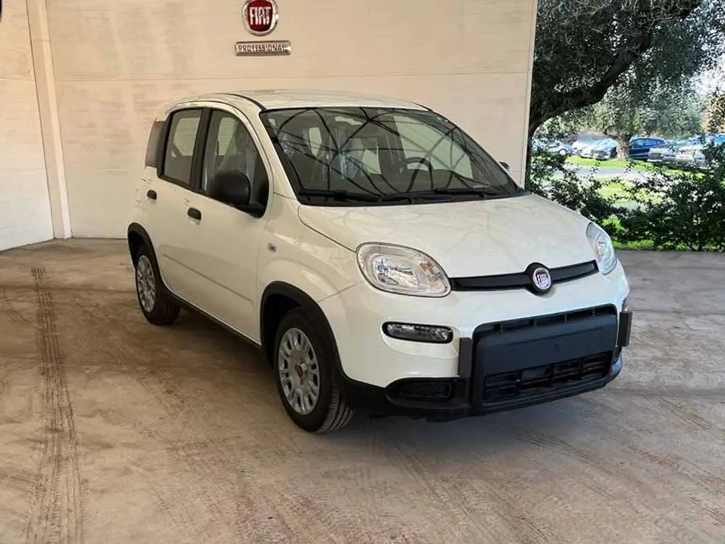 Fiat Panda Panda III 2024 1.0 firefly hybrid s Bianco - 1