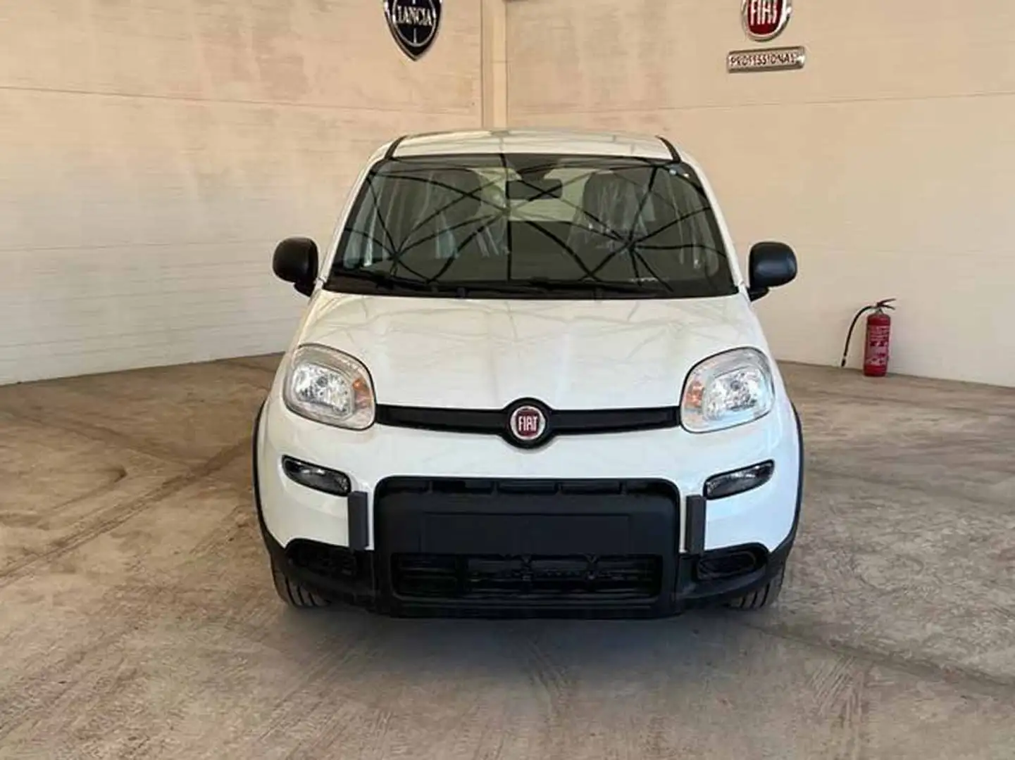 Fiat Panda Panda III 2024 1.0 firefly hybrid s Bianco - 2