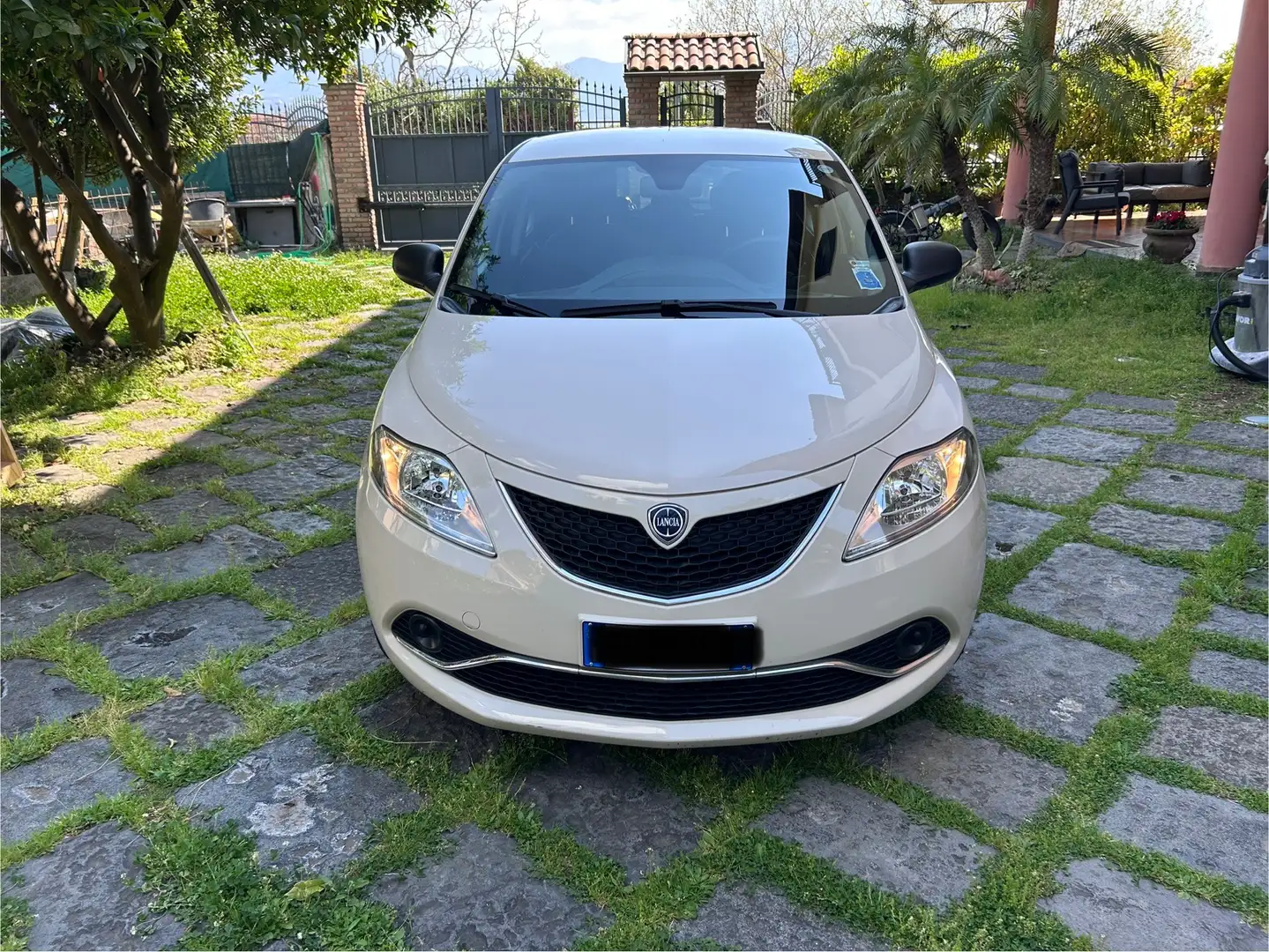 Lancia Ypsilon 1.2 Silver ecochic Gpl 69cv - 1