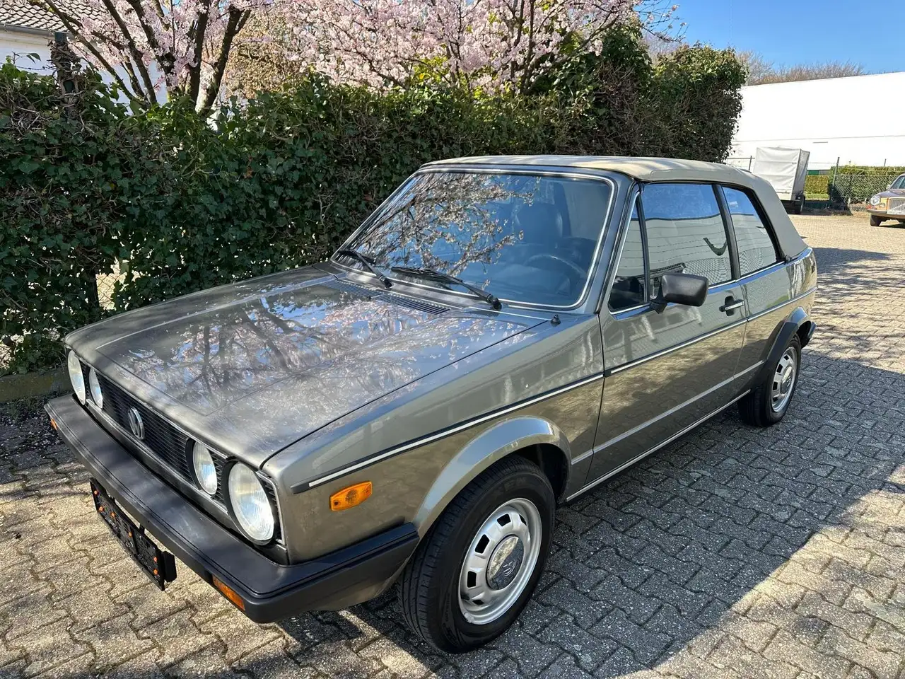 Volkswagen Golf Cabriolet Bild 2