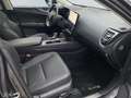 Lexus NX 350h Executive Line *Bi-LED*360°*ACC*el Heck* Grau - thumbnail 21