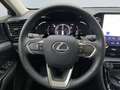 Lexus NX 350h Executive Line *Bi-LED*360°*ACC*el Heck* Grau - thumbnail 13