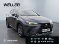 Lexus NX 350h Executive Line *Bi-LED*360°*ACC*el Heck* Grau - thumbnail 4