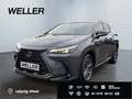 Lexus NX 350h Executive Line *Bi-LED*360°*ACC*el Heck* Grau - thumbnail 1