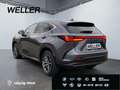 Lexus NX 350h Executive Line *Bi-LED*360°*ACC*el Heck* Grau - thumbnail 7