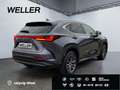 Lexus NX 350h Executive Line *Bi-LED*360°*ACC*el Heck* Grau - thumbnail 19