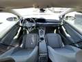 Volkswagen Golf VIII 2.0 TDI UNITED + ACC + APP-CON + Garantie bis Gris - thumbnail 11