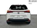 Lexus UX 300h Business Line 199pk/4Season Tyres Blanco - thumbnail 4