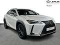 Lexus UX 300h Business Line 199pk/4Season Tyres Blanco - thumbnail 16