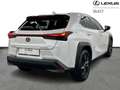 Lexus UX 300h Business Line 199pk/4Season Tyres Blanco - thumbnail 15
