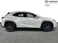 Lexus UX 300h Business Line 199pk/4Season Tyres Blanco - thumbnail 14