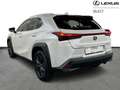 Lexus UX 300h Business Line 199pk/4Season Tyres Blanco - thumbnail 2