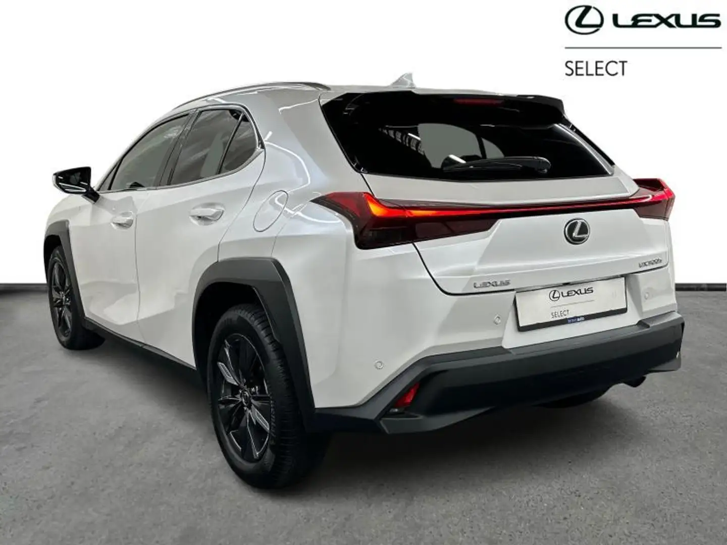 Lexus UX 300h Business Line 199pk/4Season Tyres Blanco - 2