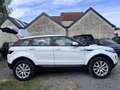 Land Rover Range Rover Evoque Range Rover Evoque SE Dynamic Blanc - thumbnail 3