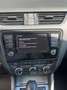 Skoda Octavia Octavia Wagon Wagon 1.6 tdi cr Ambition 110cv dsg Bronze - thumbnail 21