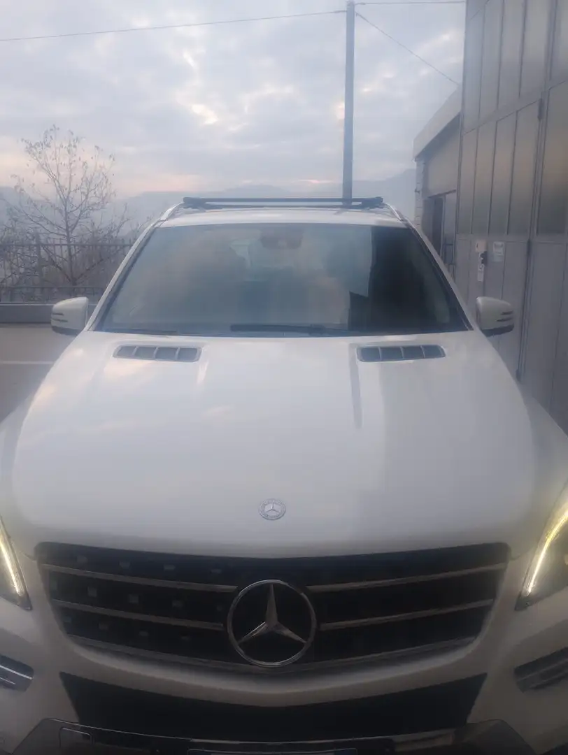 Mercedes-Benz 250 sport - 2