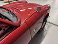 Triumph Spitfire mk2 da restauro Red - thumbnail 7