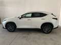 Lexus NX 350h 2.5 Premium+ 4wd e-cvt GARANZIA FINO 2033 !!! Blanco - thumbnail 8