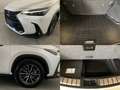 Lexus NX 350h 2.5 Premium+ 4wd e-cvt GARANZIA FINO 2033 !!! Blanco - thumbnail 15