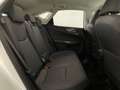 Lexus NX 350h 2.5 Premium+ 4wd e-cvt GARANZIA FINO 2033 !!! Blanco - thumbnail 14