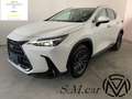 Lexus NX 350h 2.5 Premium+ 4wd e-cvt GARANZIA FINO 2033 !!! Blanco - thumbnail 1