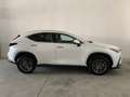 Lexus NX 350h 2.5 Premium+ 4wd e-cvt GARANZIA FINO 2033 !!! Blanco - thumbnail 7