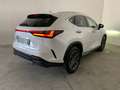 Lexus NX 350h 2.5 Premium+ 4wd e-cvt GARANZIA FINO 2033 !!! Blanco - thumbnail 6
