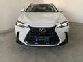Lexus NX 350h 2.5 Premium+ 4wd e-cvt GARANZIA FINO 2033 !!! Blanco - thumbnail 2