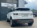 Land Rover Range Rover Evoque Prestige 2,2 TD4 Aut. Bílá - thumbnail 4