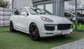 Porsche Cayenne GTS  |PASM|SPORTABGAS|PANO Weiß - thumbnail 1