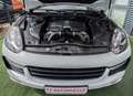 Porsche Cayenne GTS  |PASM|SPORTABGAS|PANO Weiß - thumbnail 21