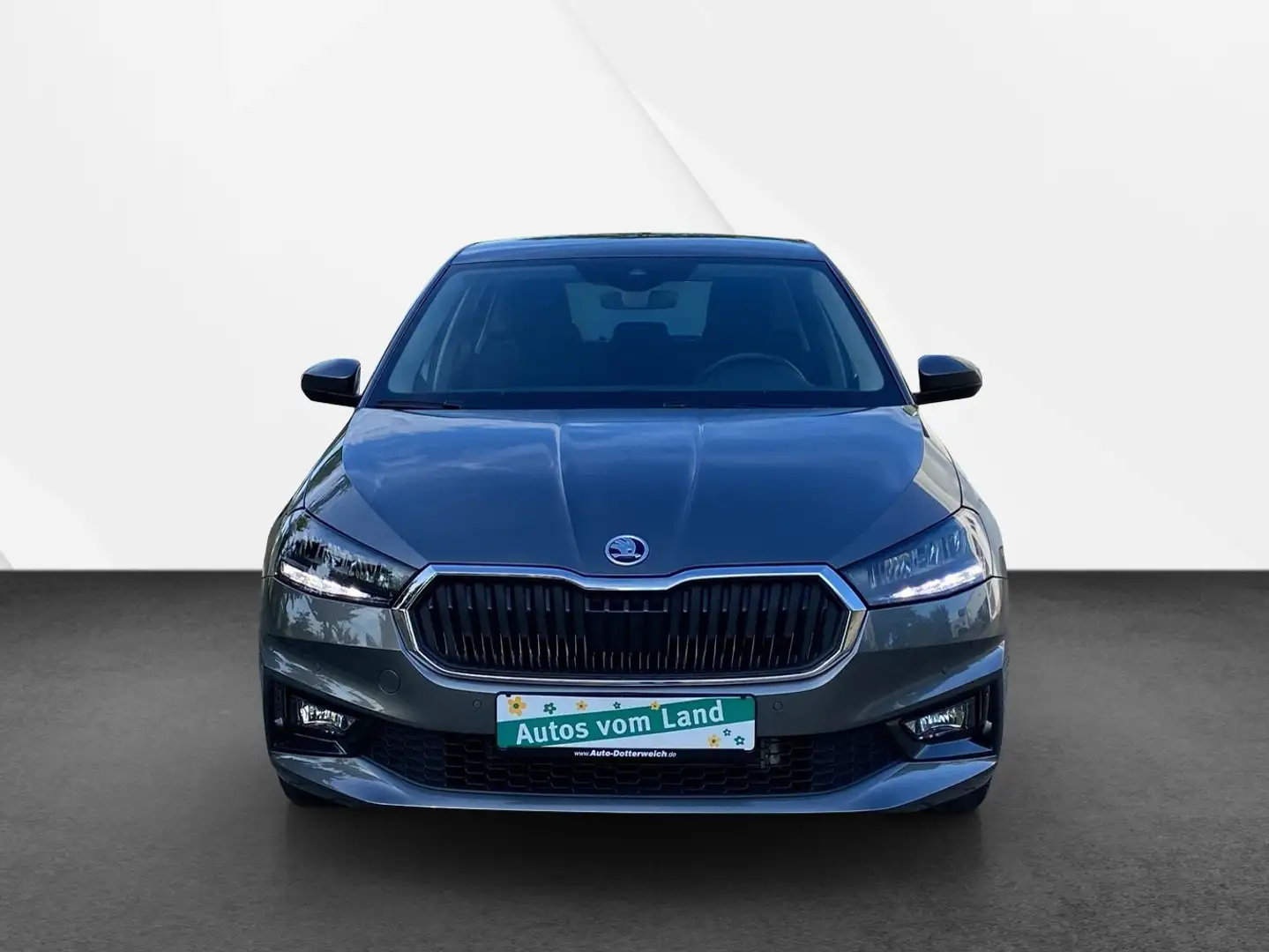 Skoda Fabia Selection Klima, Alu, PDC Grau - 2